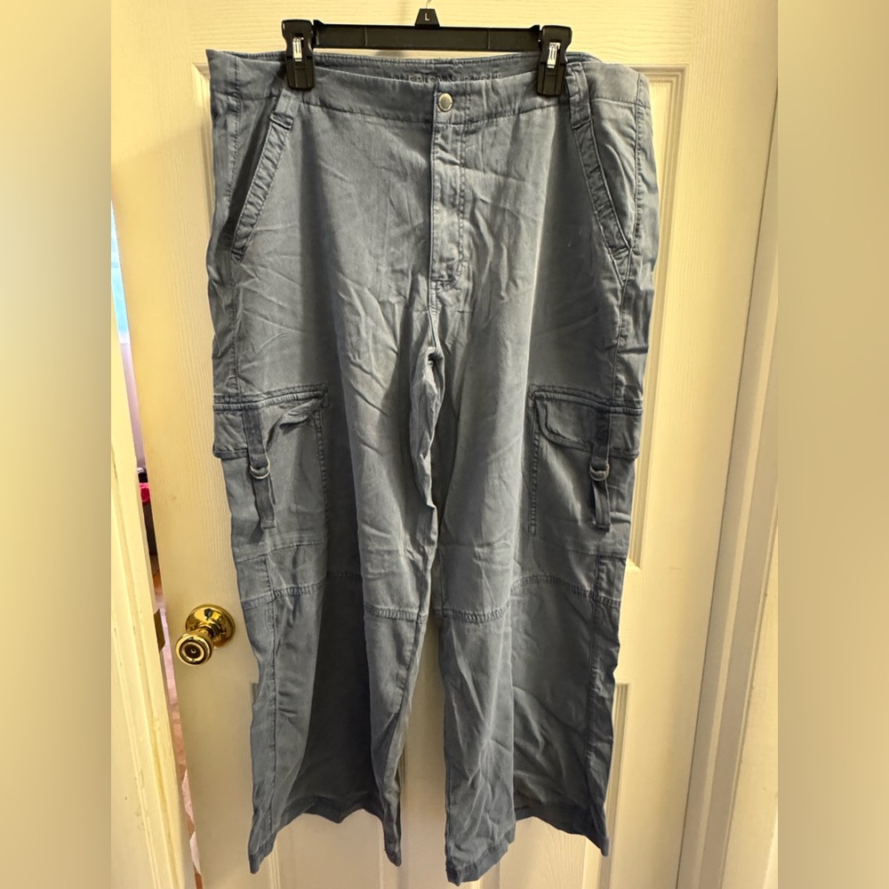 American Eagle Pants | Size 16S